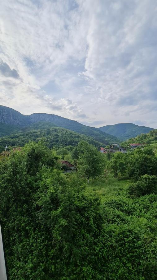 Casa Anne Otel Băile Herculane Dış mekan fotoğraf