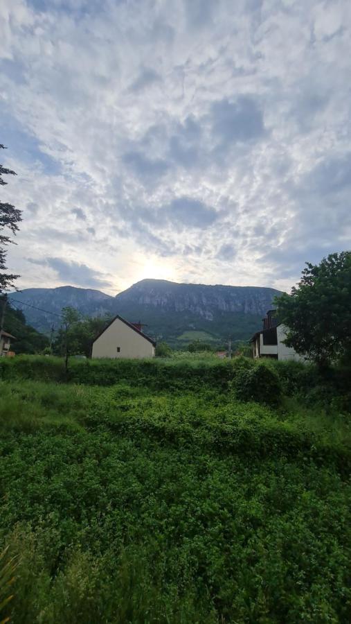 Casa Anne Otel Băile Herculane Dış mekan fotoğraf