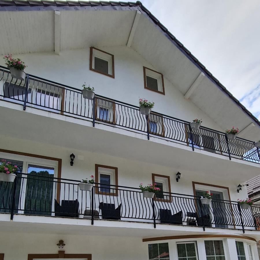 Casa Anne Otel Băile Herculane Dış mekan fotoğraf